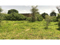 terrain-de-225-m2-a-gandigal-senegal-small-0