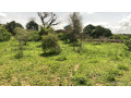 terrain-de-225-m2-a-gandigal-senegal-small-1