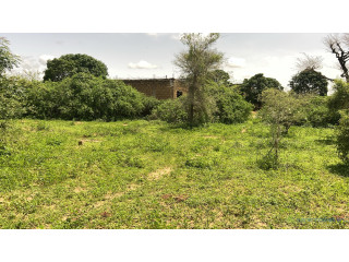 Terrain de 225 m2 à Gandigal Sénégal