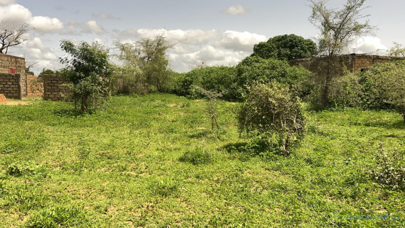 terrain-de-225-m2-a-gandigal-senegal-big-2