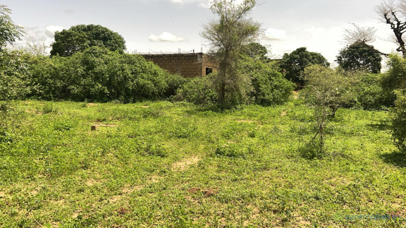 terrain-de-225-m2-a-gandigal-senegal-big-0
