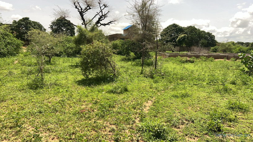terrain-de-225-m2-a-gandigal-senegal-big-1