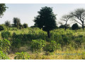 verger-de-1-hectare-vers-pire-small-2