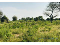 verger-de-1-hectare-vers-pire-small-0