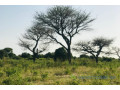 verger-de-1-hectare-vers-pire-small-1
