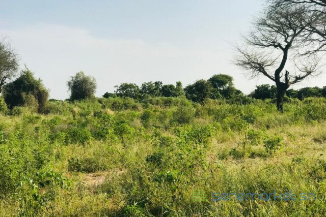 verger-de-1-hectare-vers-pire-big-0