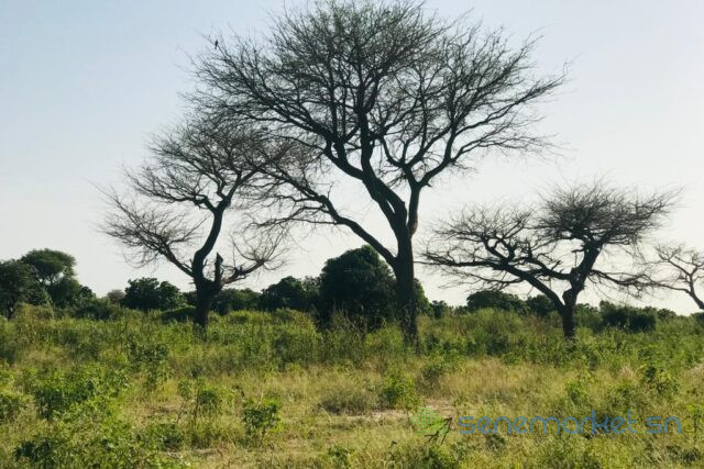 verger-de-1-hectare-vers-pire-big-1