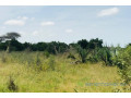 verger-de-157-hectare-vers-pire-small-2