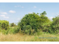 verger-de-157-hectare-vers-pire-small-0