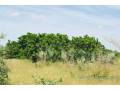 verger-de-157-hectare-vers-pire-small-1