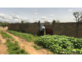 terrain-de-450-metres-carres-a-vendre-a-gandigal-sn-small-2