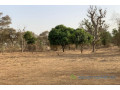 verger-de-166-hectare-vers-tassette-small-0
