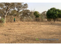 verger-de-166-hectare-vers-tassette-small-1