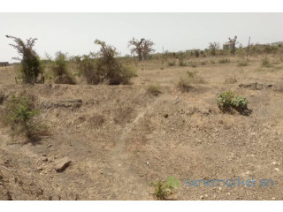 Verger de 3,18 hectares vers Keur Moussa