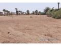 verger-de-331-hectares-vers-fandene-small-1