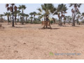 verger-de-331-hectares-vers-fandene-small-0