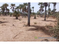 verger-de-331-hectares-vers-fandene-small-2