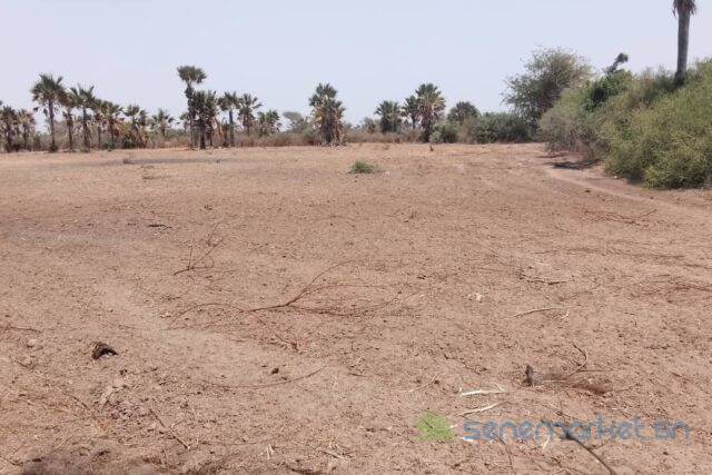 verger-de-331-hectares-vers-fandene-big-1