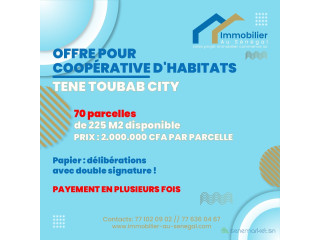 Terrains de 225 m2 à Téne toubab city