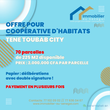 terrains-de-225-m2-a-tene-toubab-city-big-0