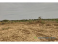 verger-de-8092-m2-vers-darou-khoudoss-small-1
