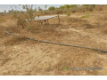 verger-de-8092-m2-vers-darou-khoudoss-small-2