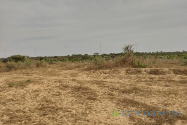 verger-de-8092-m2-vers-darou-khoudoss-big-1