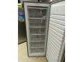 congelateur-westpool-6-t-small-1
