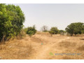 verger-fruitier-de-225-hectares-vers-notto-diobass-small-0