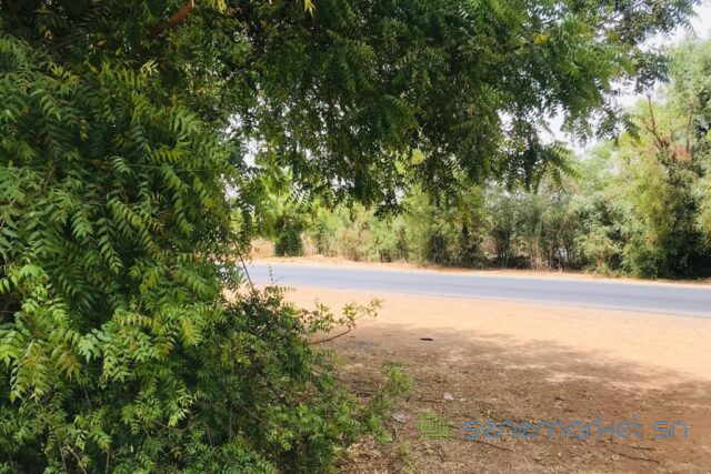 verger-fruitier-de-225-hectares-vers-notto-diobass-big-1