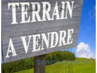 Vente d'un terrain 300 mètres carrés