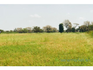 Verger Fruitier de 2860 m² vers Baba Garage