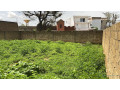 terrain-de-225-m2-a-vendre-a-nguekhokh-senegal-small-0