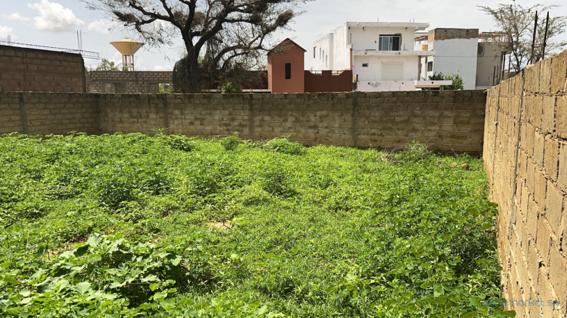 terrain-de-225-m2-a-vendre-a-nguekhokh-senegal-big-0