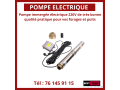 des-pompes-electriques-small-1