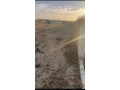terrains-de-2000-metres-carres-a-vendre-a-nguerigne-senegal-small-0