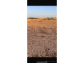 terrains-de-2000-metres-carres-a-vendre-a-nguerigne-senegal-small-2
