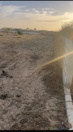 terrains-de-2000-metres-carres-a-vendre-a-nguerigne-senegal-big-0