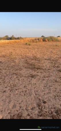 terrains-de-2000-metres-carres-a-vendre-a-nguerigne-senegal-big-2