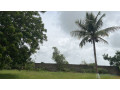terrain-de-1000-metres-carres-a-vendre-a-warang-senegal-small-1