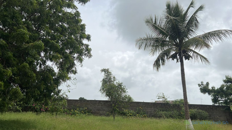 terrain-de-1000-metres-carres-a-vendre-a-warang-senegal-big-1