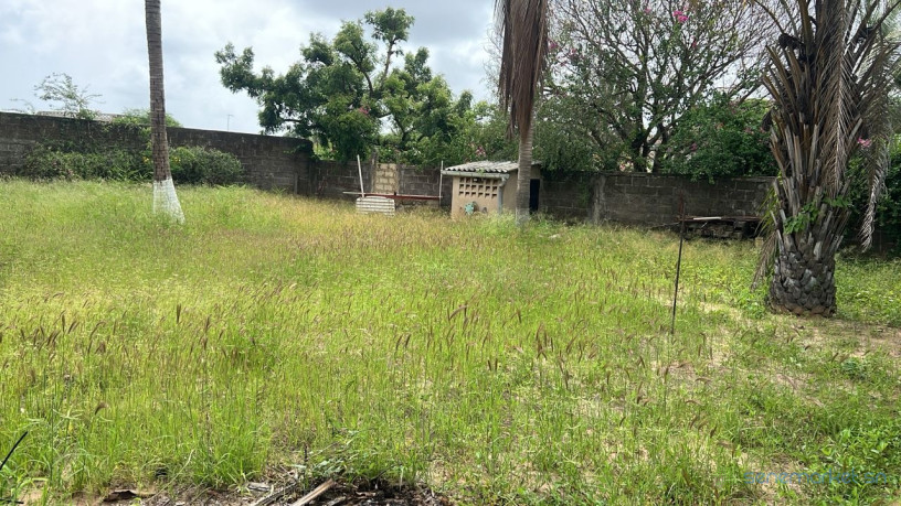 terrain-de-1000-metres-carres-a-vendre-a-warang-senegal-big-2