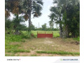 ferme-agricole-a-vendre-a-ngueniene-ndofane-senegal-small-0
