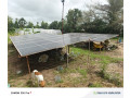 ferme-agricole-a-vendre-a-ngueniene-ndofane-senegal-small-3