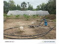 ferme-agricole-a-vendre-a-ngueniene-ndofane-senegal-small-2