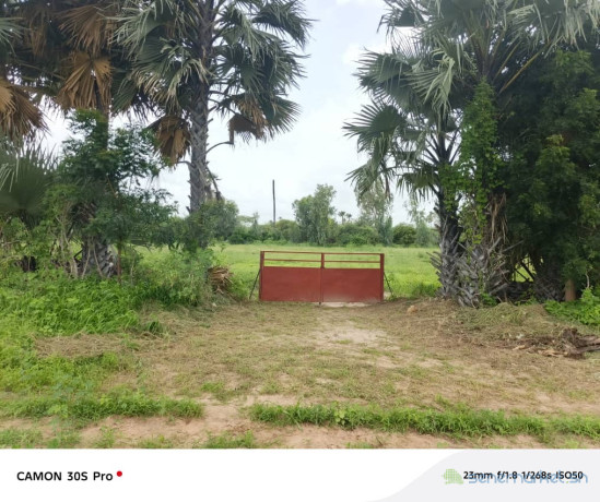 ferme-agricole-a-vendre-a-ngueniene-ndofane-senegal-big-0