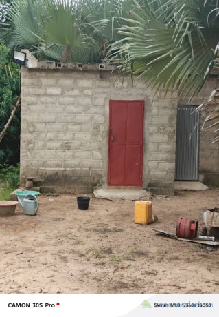 ferme-agricole-a-vendre-a-ngueniene-ndofane-senegal-big-4