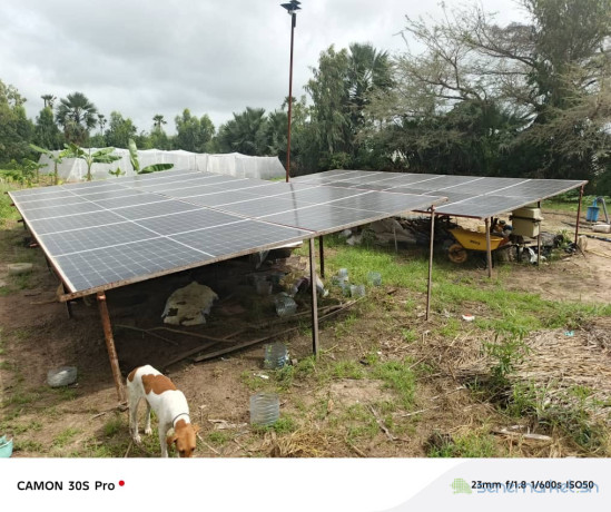 ferme-agricole-a-vendre-a-ngueniene-ndofane-senegal-big-3