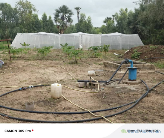 ferme-agricole-a-vendre-a-ngueniene-ndofane-senegal-big-2