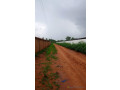 terrain-de-5740-metres-carres-a-vendre-a-warang-senegal-small-0